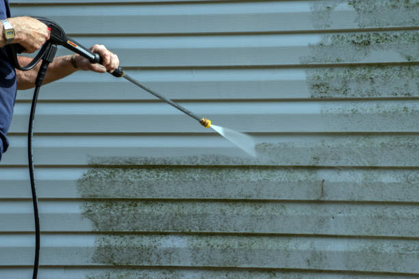 Best Residential Pressure Washing Services  in Third Lake, IL