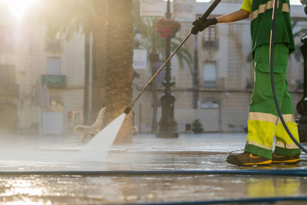 Best Local Pressure Washing Services  in Third Lake, IL