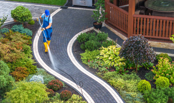 Best Exterior Home Cleaning  in Third Lake, IL