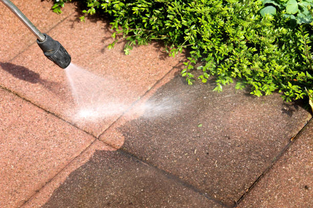 Best Roof Power Washing Services  in Third Lake, IL